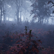 民間伝承に影響を受けた一人称ホラー『Nowhere』発表―失踪事件の起きた森で狂気の世界へと足を踏み入れる