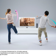 PlayStationMove モーションコントローラ&サブコントローラ