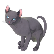 ボーニーとフォルミナの物語や、多彩なバトルシステムも！シリーズ最新作『サガ エメラルド ビヨンド』新情報が公開