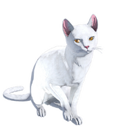 ボーニーとフォルミナの物語や、多彩なバトルシステムも！シリーズ最新作『サガ エメラルド ビヨンド』新情報が公開