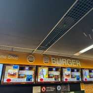 VR『遊戯王』で出会ったブラマジガールに一目惚れ！アツい開発者インタビューから、1万枚超えの歴代カード展示まで【東京ドームイベントレポ】