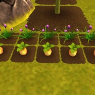 モンスターヴェルト・オンライン