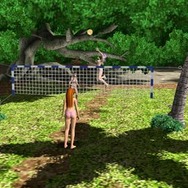 DEAD OR ALIVE Paradise