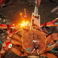 甲殻類ACT『カニノケンカ・ニ』