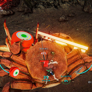 甲殻類ACT『カニノケンカ・ニ』