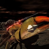 甲殻類ACT『カニノケンカ・ニ』