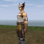 Lineage II(R) and  Lineage II(R) the Chaotic Throne are  trademarks of NCsoft Corporation. 2003-2007 (C) Copyright NCsoft Corporation. NC Japan K.K. was granted by NCsoft Corporation the right to publish, distribute, and transmit Lineage II the Chaotic Throne in Japan. All Rights Reserved.