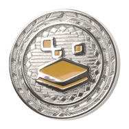 激レア限定品】ポケモンSV バッジコレクション 全18種 - メルカリ