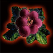 Wizardry 囚われし魂の迷宮