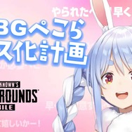 ホロライブ・兎田ぺこらが配信で「ゴースティング」などの“迷惑”行為に遭遇…ストリーマーが対策するしかない現状も