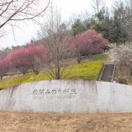 謎解きは足湯の後で！？美少女名探偵が豪華賞品が当たる「ナゾトキクエスト in ぐんま三大梅林」に挑戦