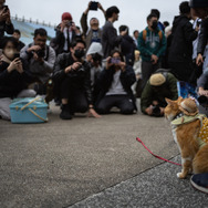 王小橘（Instagram：onekowang）