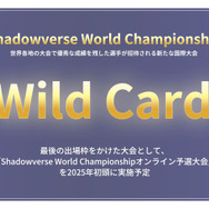 “新星のアマチュア”りざ選手が『シャドウバース』年間王者に輝く！「応援してくれた方々全員に感謝を伝えたい」