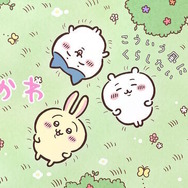 わァ…泣いちゃった!「ちいかわ」マレーグマを被り号泣する わァ…泣いちゃった!「ちいかわ」マレーグマを被り号泣する