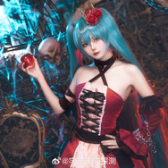 初音ミク／宇宙天气探测（Weibo：宇宙天气探测）