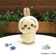 ちいかわ ぬいぐるみ うさぎ おしりふりふり まじかる カボチャ パジャマ ちいかわ」おしりをフリフリするうさぎのBIGサイズぬいぐるみが