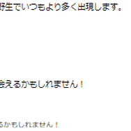 5日間限定の“激レア色違い”をゲットできるかは、天候頼み！？「ウェザーウィーク 2024」重要ポイントまとめ【ポケモンGO 秋田局】