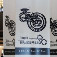 ©Pokémon. ©Nintendo/Creatures Inc. /GAME FREAK inc.