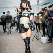 サイヴァーキャット／Miyu小咪（Instagram：kotori_0214）