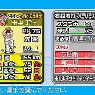 プロ野球 ファミスタDS 2010