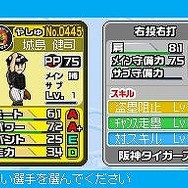 プロ野球 ファミスタDS 2010