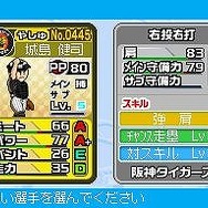 プロ野球 ファミスタDS 2010