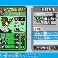 プロ野球 ファミスタDS 2010