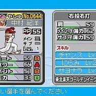 プロ野球 ファミスタDS 2010