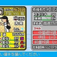 プロ野球 ファミスタDS 2010
