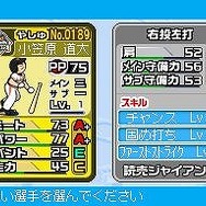 プロ野球 ファミスタDS 2010