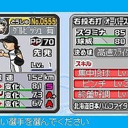 プロ野球 ファミスタDS 2010