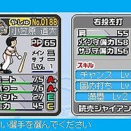 プロ野球 ファミスタDS 2010