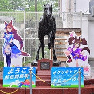 笠松競馬場にて『ウマ娘』コラボイベントが開催！特別記念レースや出演声優によるトークショーも実施予定