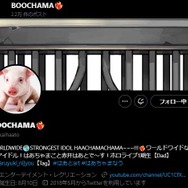ホロライブ「赤井はあと」XとYouTubeのアイコンがなぜか“実写の豚”になる―エイプリルフールにはまだ早い
