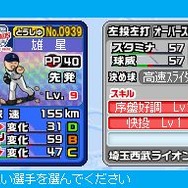 プロ野球 ファミスタDS 2010