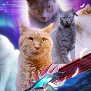 キービジュアルが猫まみれ…『白猫プロジェクト』が10周年を記念して“本物のネコ”で実写化？主演“ネコ”への独占インタビューも【エイプリルフール】