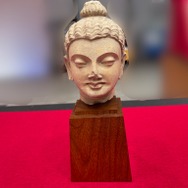 『ウマ娘』声優・前田佳織里さんが、“博物館級のお宝”を披露！「なんでも鑑定団」で驚きの評価額に