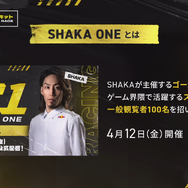 「マジで危ない」SHAKAが“おふざけなし”のレース大会を開催！総勢30名のストリーマーがゴーカートで競い合う「ファッキンBIG赤字」イベント
