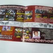 2010春に登場する新作ゲームのチラシ ― 『HUDSON×GReeeeN』や『MHF』など