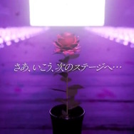 ※画像は公式Xより引用。