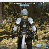 キャラメイクで“飼い猫”を再現するプレイヤーも？『FF14 黄金のレガシー』ベンチマークソフト公開で、新種族「ロスガル族女性」が猫っぽいと話題