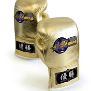 「闘志追撃 拳をかけろ! ストリートファイターIV」全国大会決勝、当日参加枠を募集！