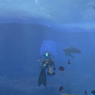 画面いっぱいに広がるのは…巨大なジンベエザメ！『フォーエバーブルー ルミナス』紹介映像&CMが公開―ダイバーに寄り添う海の生物にも注目