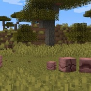 『マインクラフト』危険を感じると丸くなる愛らしいアルマジロが正式実装！オオカミにも鎧を着せられる