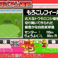 プロ野球 ファミスタDS 2010