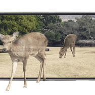 シャープ、裸眼立体視が可能な2D/3D切り替え型液晶ディスプレイを新開発・・・3DS向け?