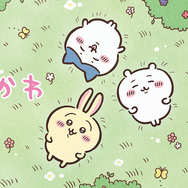 「ちいかわ」実用性抜群グッズが100円ショップで手に入る！クリアファイルやランチピックスなど新新発売