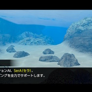 潜る度に違う表情を見せるベールド海…『フォーエバーブルー ルミナス』で海洋生物と触れ合って、一期一会のダイバーと泳ぐ【プレイレポ】