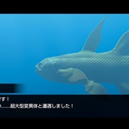 潜る度に違う表情を見せるベールド海…『フォーエバーブルー ルミナス』で海洋生物と触れ合って、一期一会のダイバーと泳ぐ【プレイレポ】