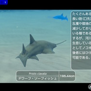 潜る度に違う表情を見せるベールド海…『フォーエバーブルー ルミナス』で海洋生物と触れ合って、一期一会のダイバーと泳ぐ【プレイレポ】